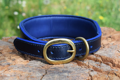 wide collar for large size dogs made in blue leather with solid brass oval buckle