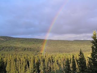 https://commons.wikimedia.org/wiki/File:Rainbow_over_a_forest_in_Alaska_(3_June_2005).jpg