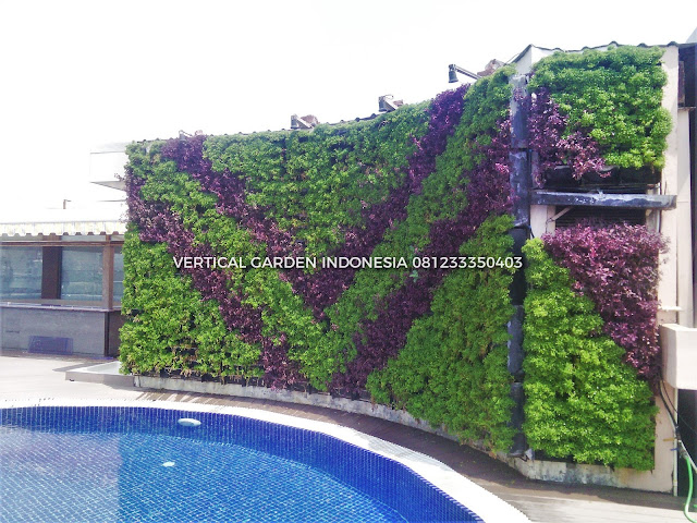 VERTICAL GARDEN INDONESIA SPESIALIS JASA PEMBUATAN VERTICAL GARDEN DI DENPASAR BALI  DAN DI SELURUH WILAYAH DENPASAR BALI  DENGAN TENAGA YANG PROFESIONAL DAN DAPAT DI PERCAYA YANG SELALU MENGUTAMAKAN SEBUAH MUTU DAN KUALITAS PEMASANGAN VERTICAL GARDEN/TAMAN DINDING, JASA TUKANG TAMAN VERTICAL DENPASAR BALI , JASA VERTICAL GARDEN DENPASAR BALI