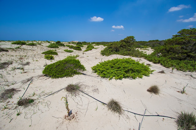 Pineta-Vivosa Apulia resort