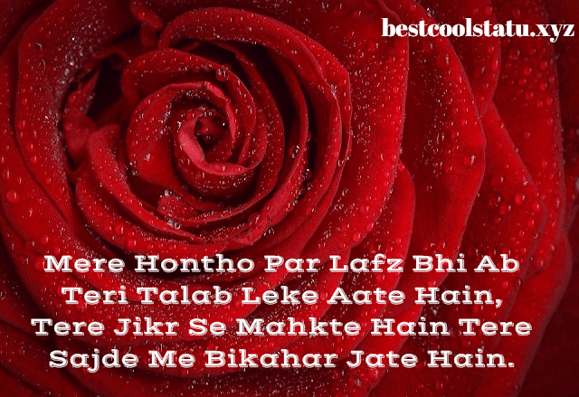 Latest Shayari For Love, True Love Status & Quotes, Love Images