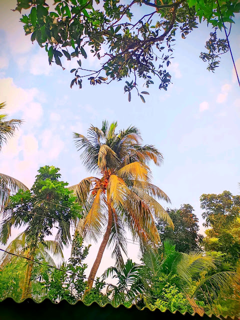 বিভিন্ন পিকচার, বিভিন্ন পিক, বিভিন্ন ধরনের পিকচার ডাউনলোড, বিভিন্ন ধরনের পিকচার