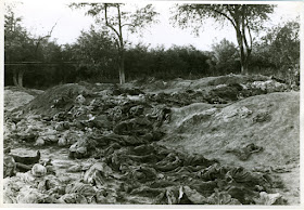 Vinnytsia massacre