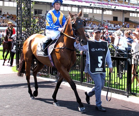race6_barakey2