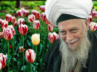 Mawlana Shaykh Nazim Adil al-Haqqani an-Naqshbandi