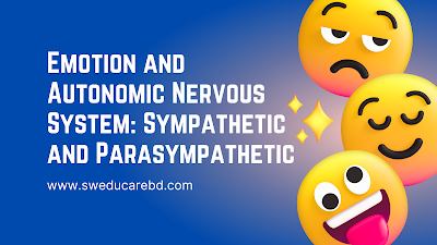 Autonomic Nervous System: Sympathetic and Parasympathetic