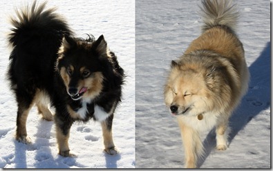 Blogg1