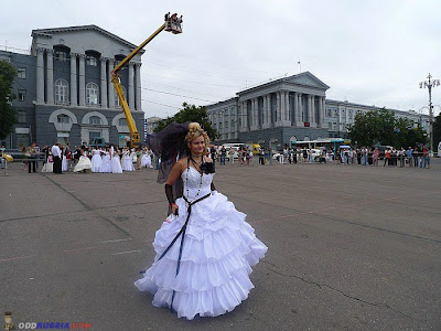 The parade of brides in kursk