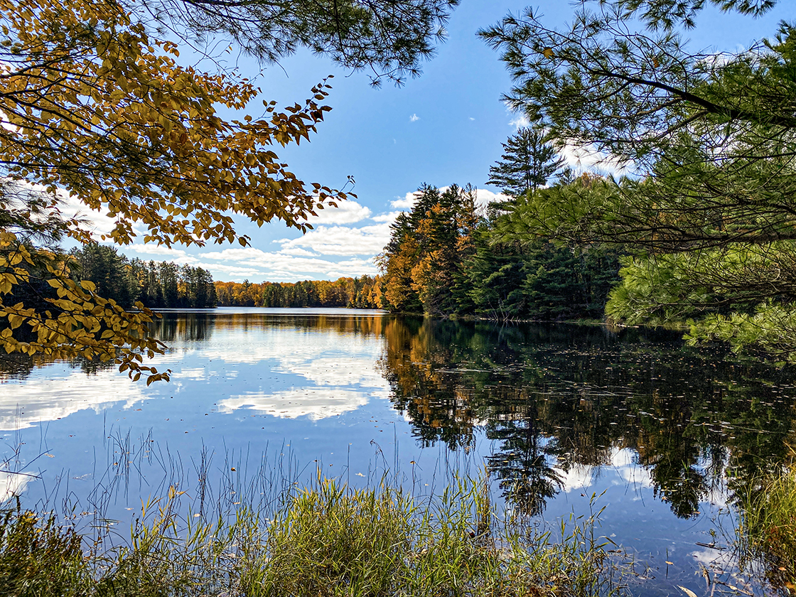 Still lake reflecting pines and autumn colored leaves