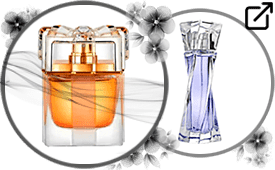 perfume ao vento, perfume, parfum, scent, fragrância, fragrance, fragrance collection, contratipo, inspiração, semelhança olfativa, referência olfativa, lonkoom