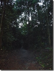 P1030548
