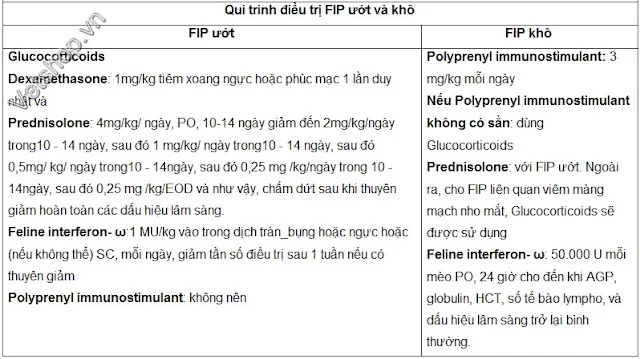 Hình 6: Quy trình điều trị FIP ướt và khô