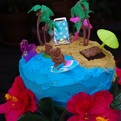 Hawaiian Birthday Cakes on Within The Kitchen  A Day At The Beach Cake   Hawaiian Themed Party  3