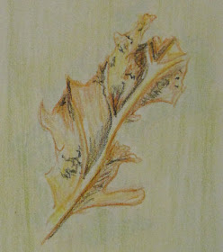 crayon drawing of a dead leaf