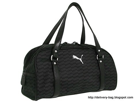 Delivery bag:bag-1339021