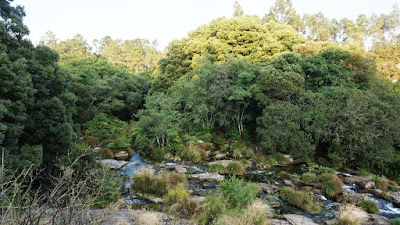 Caldeiras do Castro