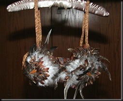 Owls-3694
