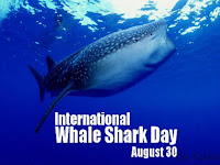 International Whale Shark Day - 30 August.