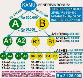 Suskses Bersama Bisnis Nano Spray MCI