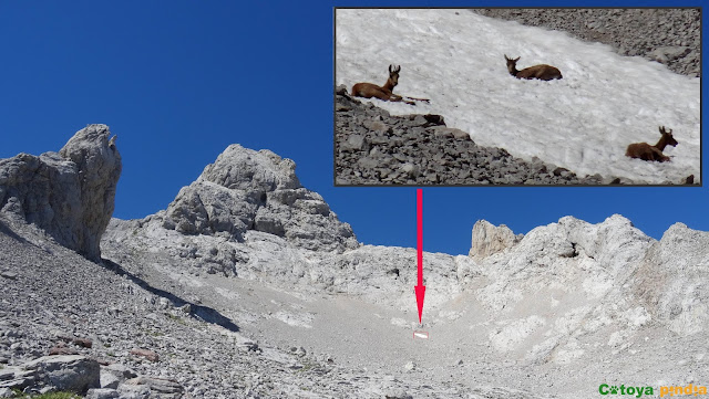 Subida a las Torres Areneras y a las Cuetos del Trave, pasando por el Refugio de Urriellu y el de Cabrones, en el Macizo Central de Picos de Europa.