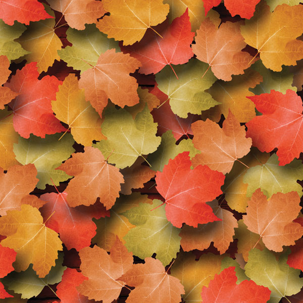 Autumn Leaves Paper1