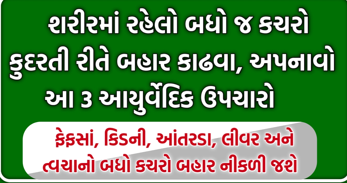 કુદરતી રીતે શરીર રહેલો બધો જ કચરો બહાર કાઢવા માટે અપનાવો આ 3 આયુર્વેદિક નિયમો ફેફસાં, કિડની, આંતરડા, લીવર અને ત્વચાનો બધો કચરો બહાર નીકળી જશે