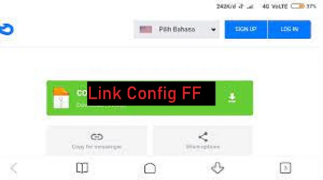 Link Config FF