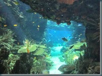 Oceanário. (34)