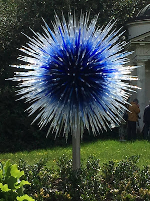 Phto of a glass sculpture made of blue and white glass, in the shape of a starburst or allium flower