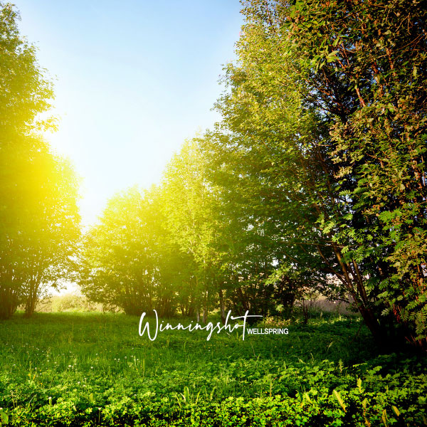 Winningshot stream new EP "Wellspring"