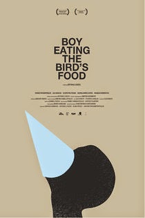 Boy Eating The Bird's Food