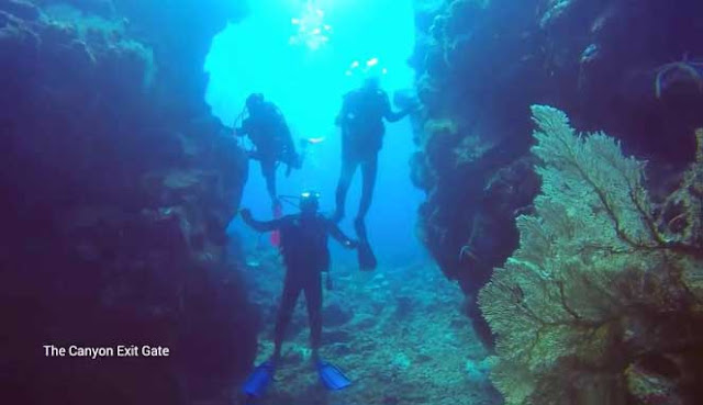 SCUBA DIVING TERBAIK DI INDONESIA