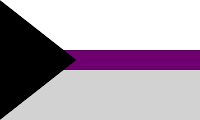 bandera demisexual