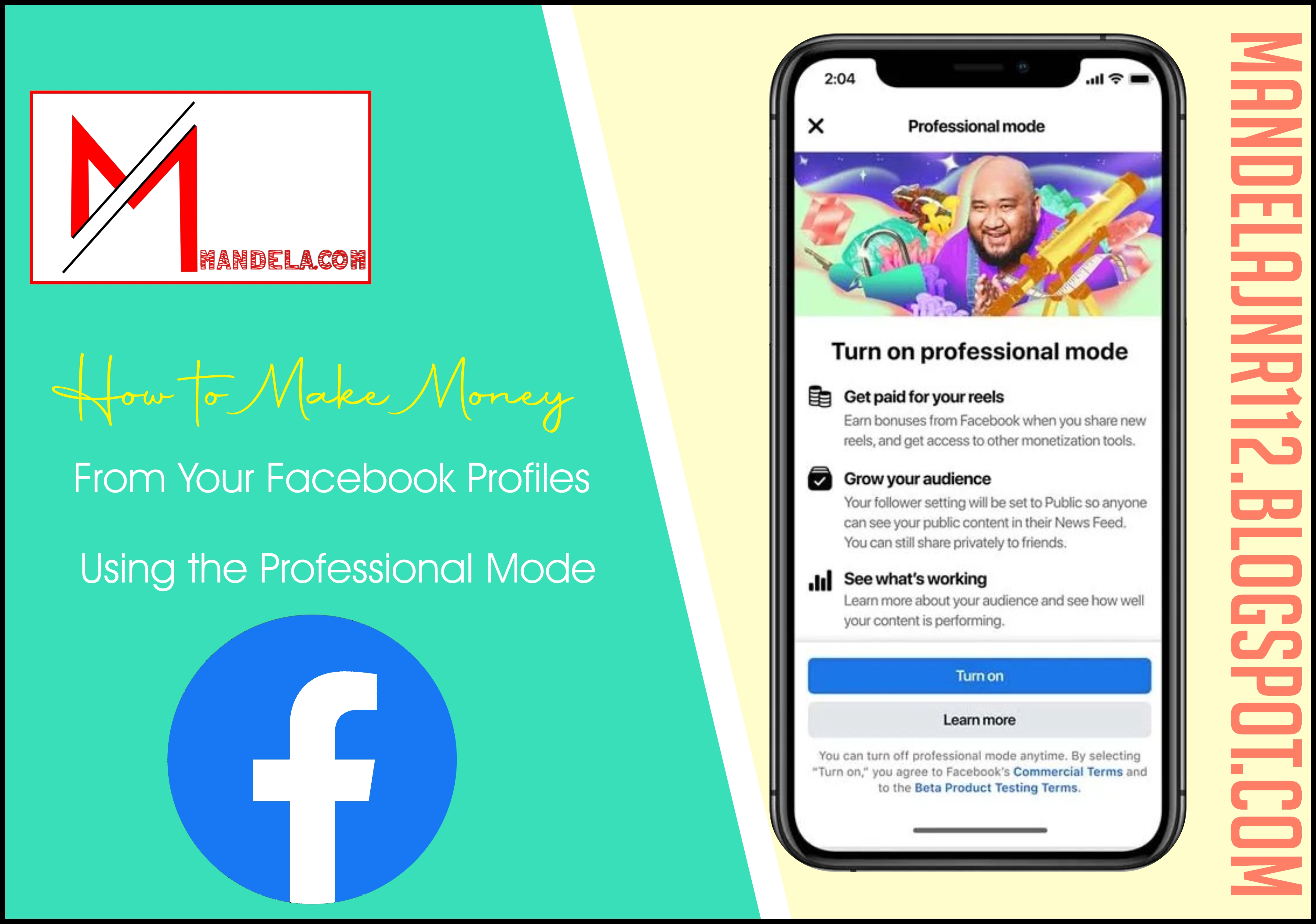 How to Make Money From Your Facebook Profiles Using the Professional Mode