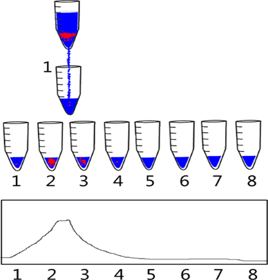 Experimento de Meselson-Stahl. (A)  Cada uno de los blancos arrojan picos únicos en los extremos de la tabla. (B)  La espectrofotometría arroja valores con los cuales se puede construir una gráfica que indica la cantidad de sustancia en una solución. Al decantar el tubo centrifugado en varios tubos, estos generan un gradiente de concentraciones. A estos tubos se les extraen muestras para el espectrofotómetro y así obtener las concentraciones. (C)  Este es el resultado más cercano, dos picos uno para las moléculas conservadas y otro para las nuevas, sin intermedios de ninguna clase.