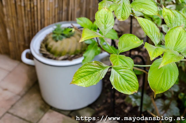 DIY Juteteppich für den Garten häkeln