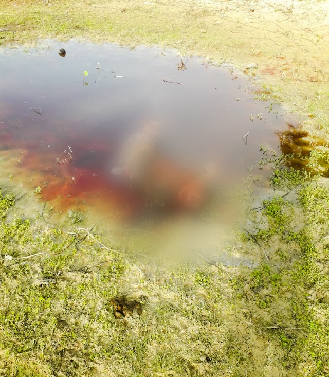 Homem é encontrado morto em poça d'água no litoral do Piauí