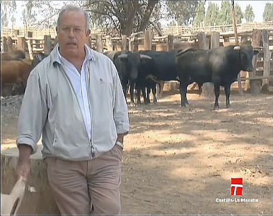 rafael puga ganadero ganaderia camponuevo toros novillos vacas