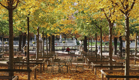 Luxembourg Palace Paris