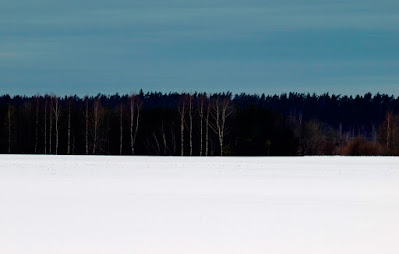 Paisagem da Estônia no inverno (imagem disponível na Wikimedia Commons).