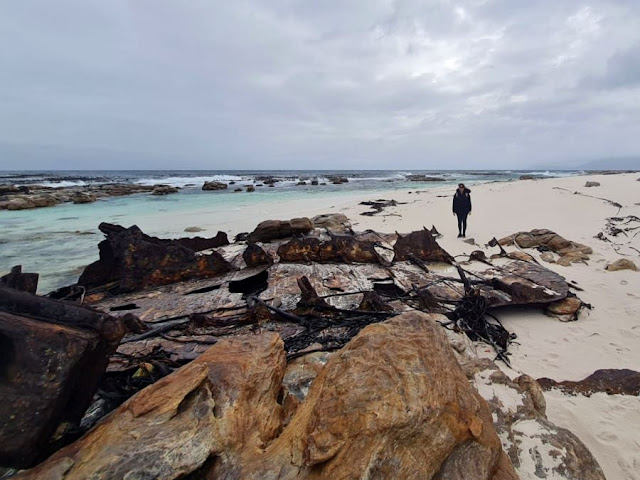 woman with shipwreck - Cape Point