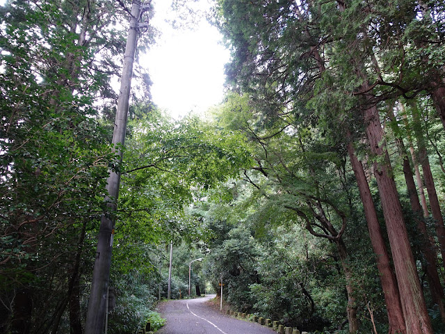 湊山公園の昔の国道９号線