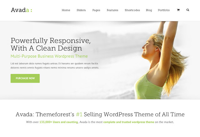 Best Selling WordPress Themes Best Selling WordPress Themes