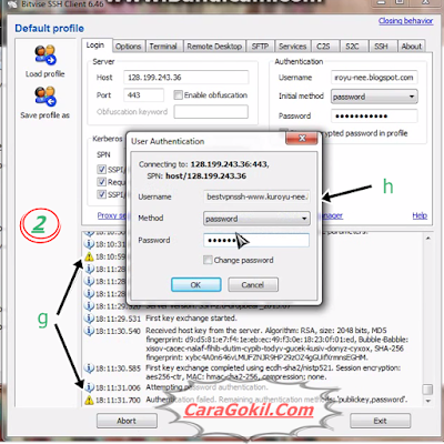 Internet Gratis Bitvise SSH Client