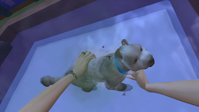 Sims 4 wash dog in first person