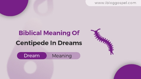 Biblical Meaning Of Centipede In Dreams