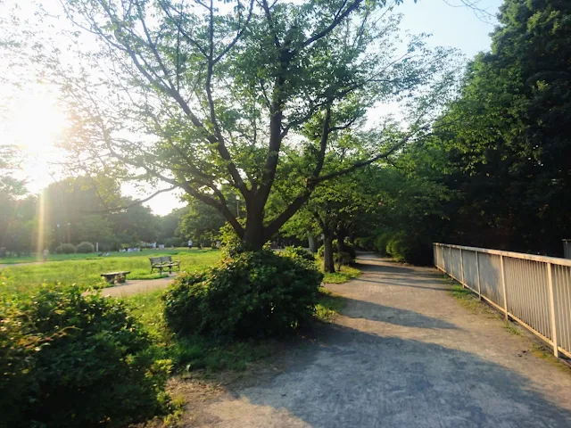 神田川　三角公園