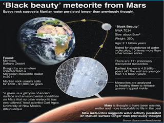 Black Beauty could yield Martian secrets