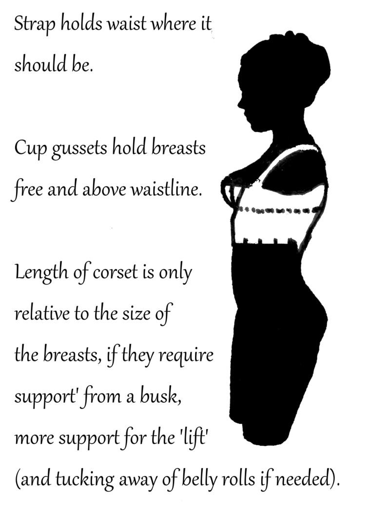 Regency Corset Shapes