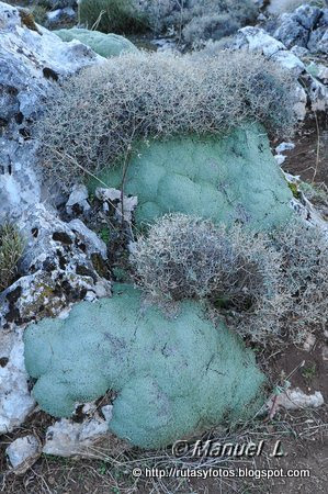 Subida al pico Mágina y refugio Miramundos